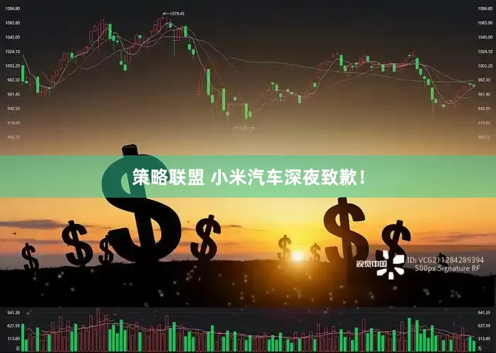 策略联盟 小米汽车深夜致歉！