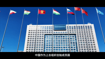 永宝网 纪录片｜上合，尚合