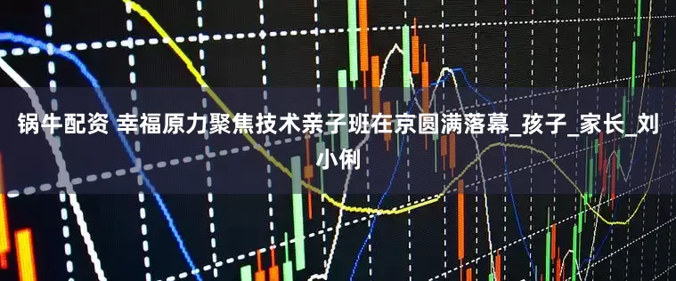 锅牛配资 幸福原力聚焦技术亲子班在京圆满落幕_孩子_家长_刘小俐